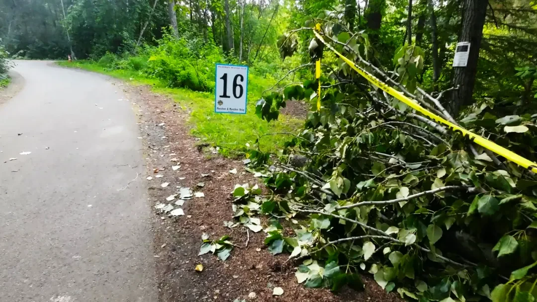 Anchorage marathon photo 134