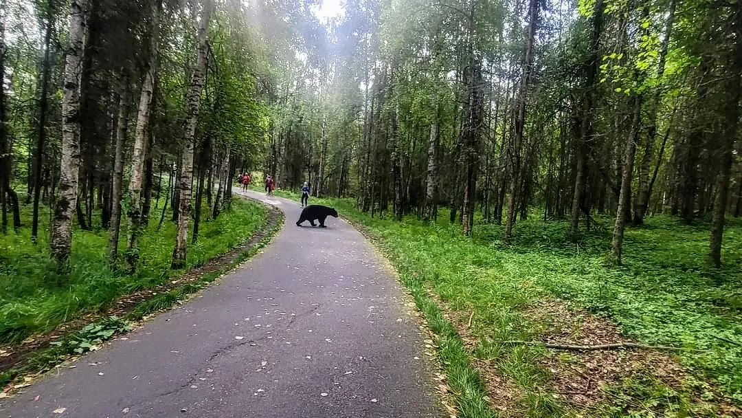 Anchorage marathon photo 151