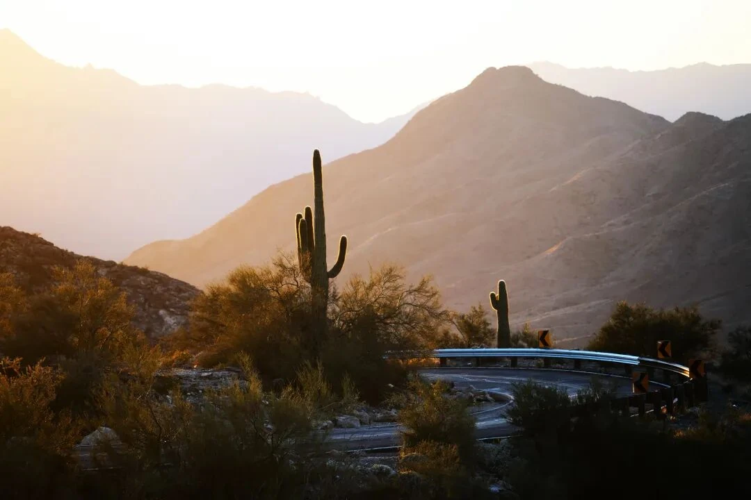 Cactus-lined climb at North Mountain Park