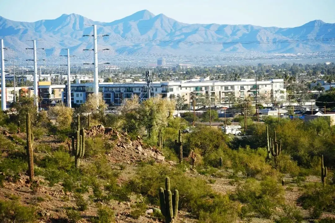 A small trail up the Papago Park slope