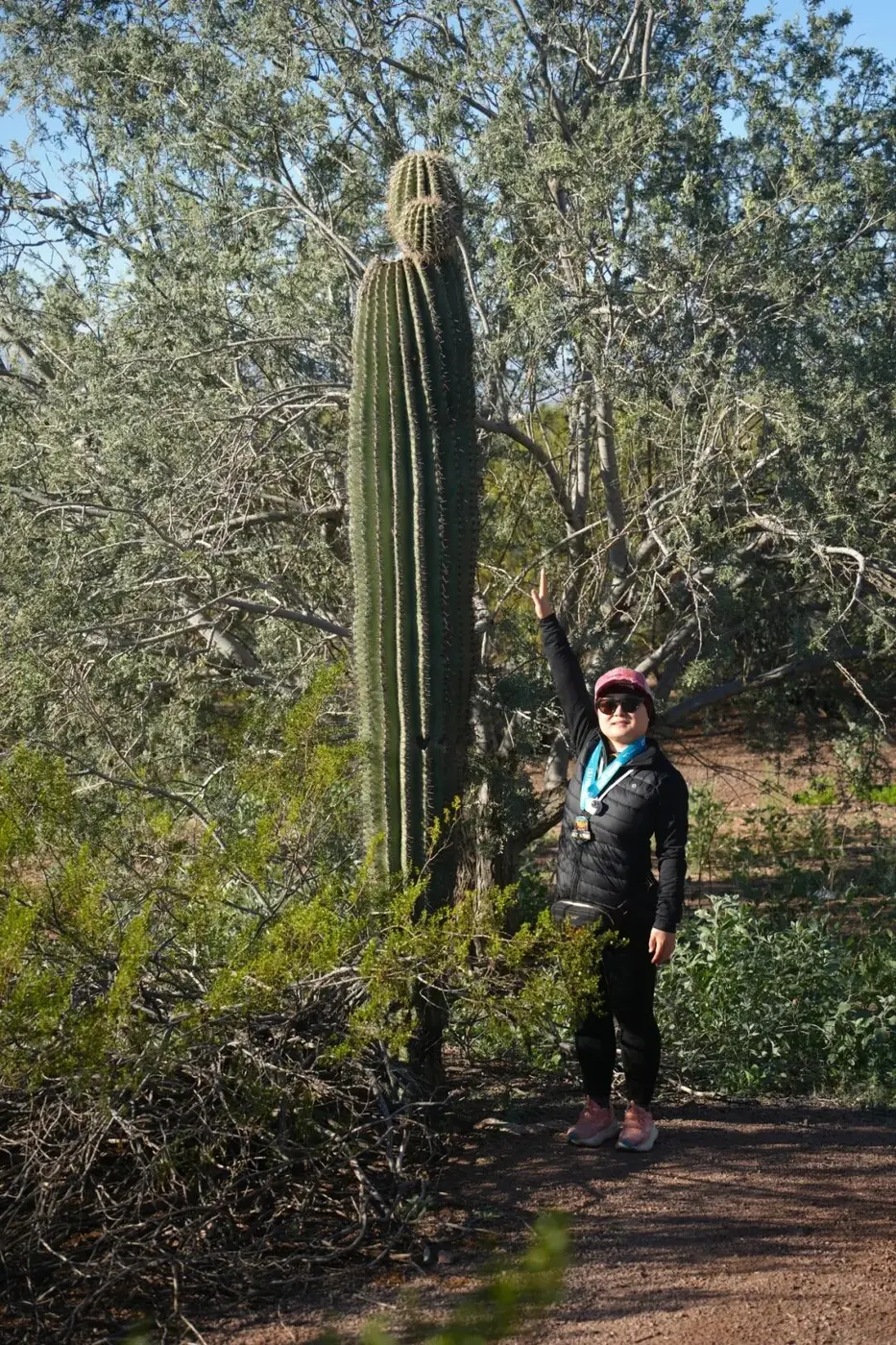 Race to the Runway medal beside a saguaro