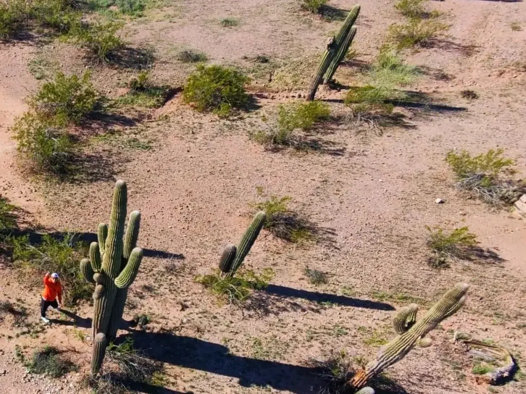 One more look at Arizona before leaving