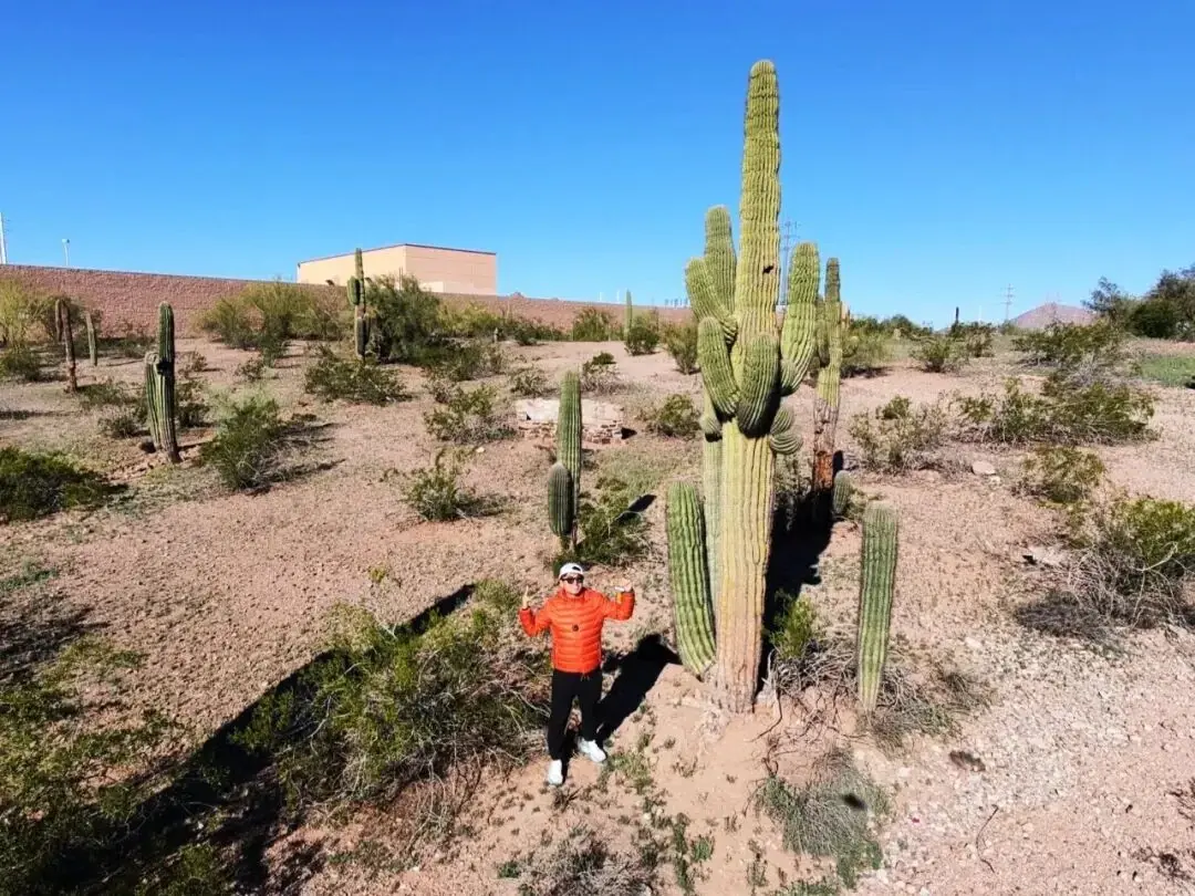 The closing frame of a Phoenix desert weekend