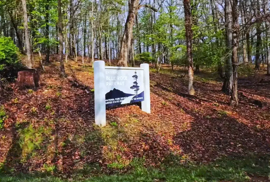 Photo stop sign hidden in the woods