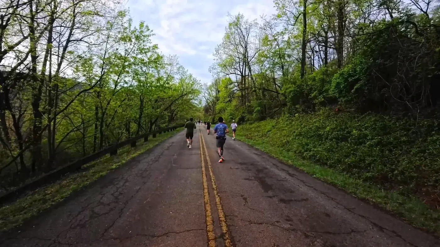 Narrow road through green forest