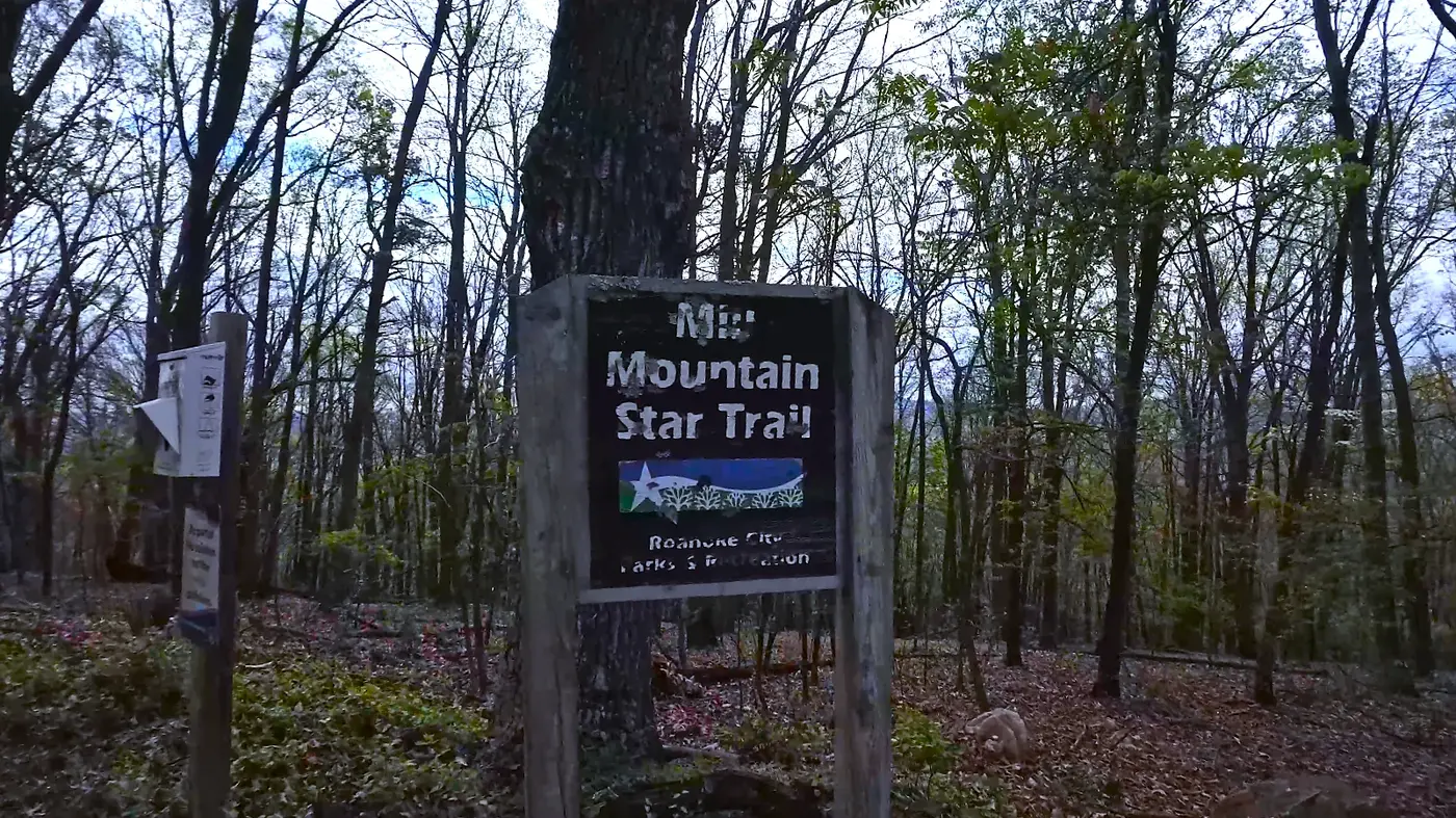 Mountain Star Trail sign in the woods