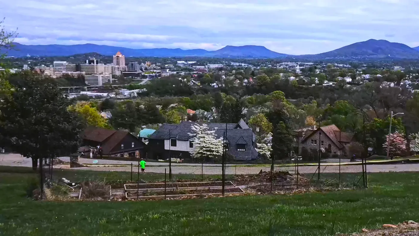 Roanoke neighborhoods from the hillside