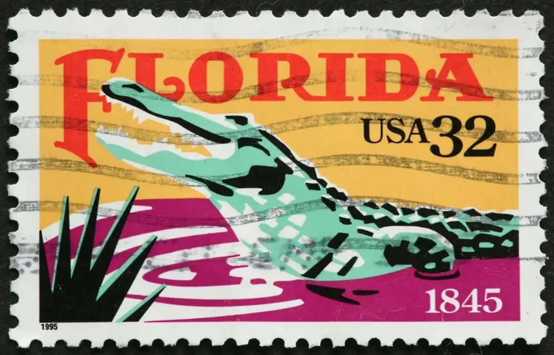 Key West / Orlando, Florida story photo 1