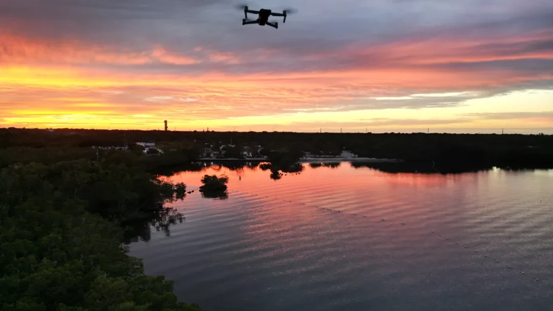 Key West / Orlando, Florida story photo 21