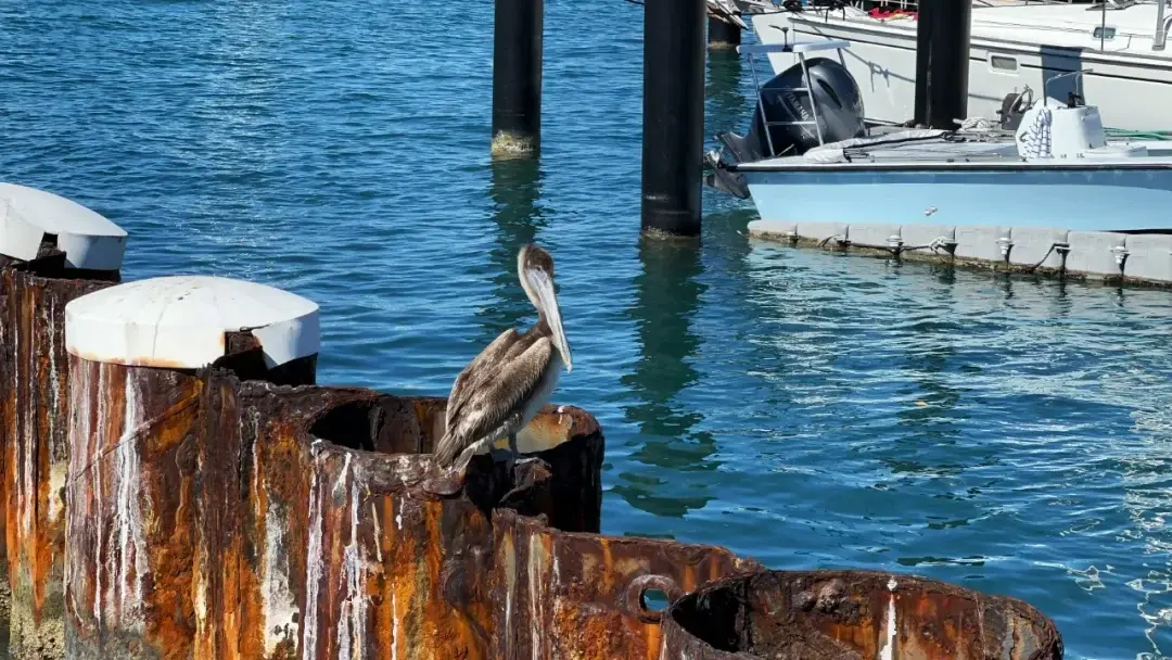 Key West / Orlando, Florida story photo 38