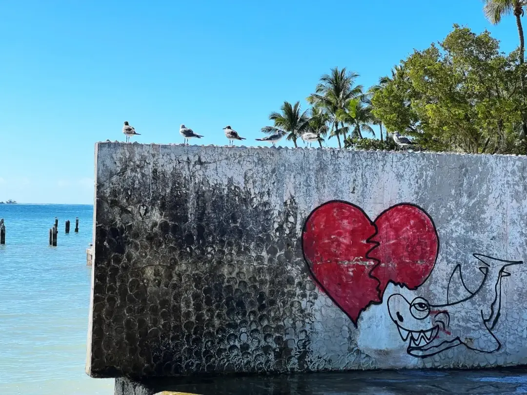 Key West / Orlando, Florida story photo 41