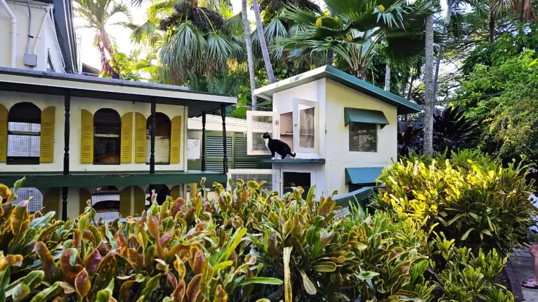 Key West / Orlando, Florida story photo 51