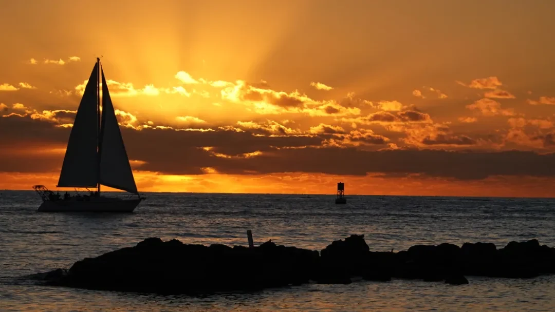 Key West / Orlando, Florida story photo 67