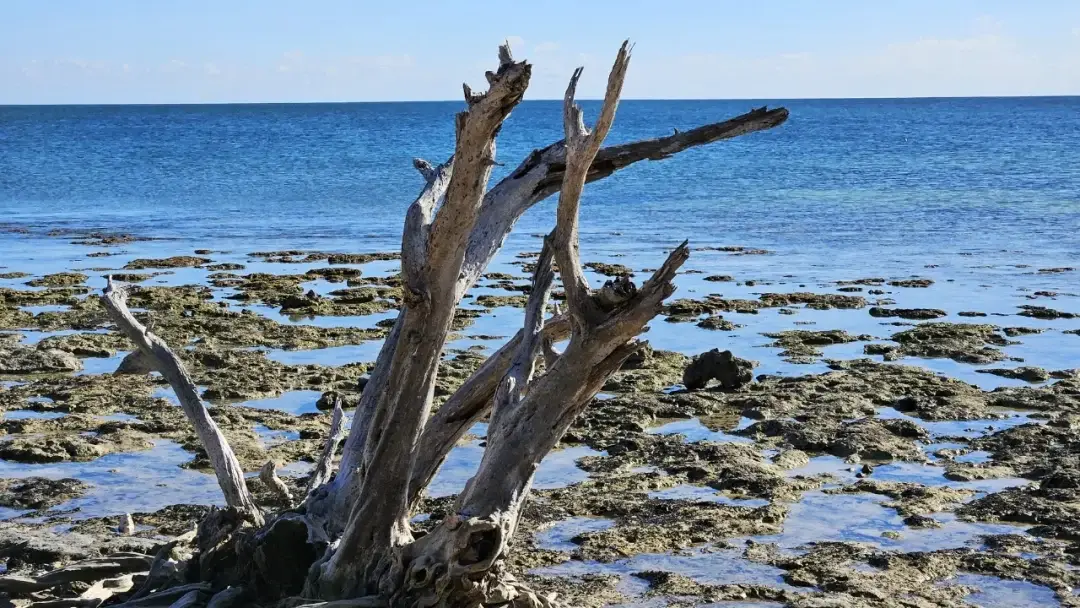 Key West / Orlando, Florida story photo 88