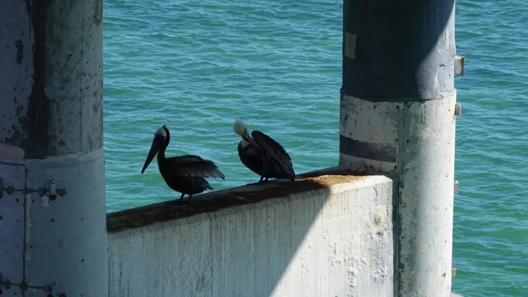 Key West / Orlando, Florida story photo 92