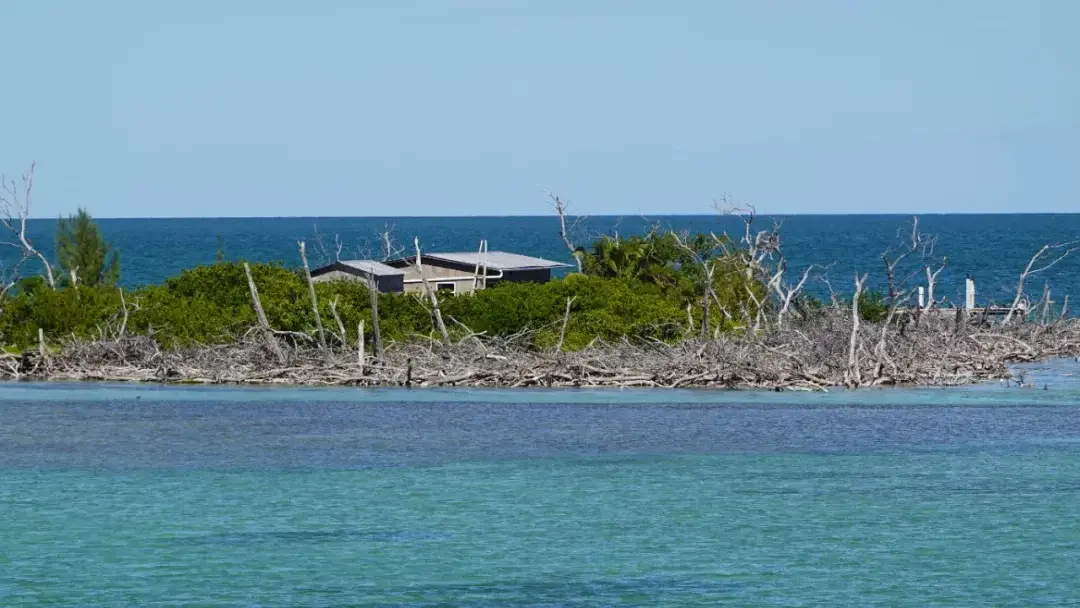 Key West / Orlando, Florida story photo 95