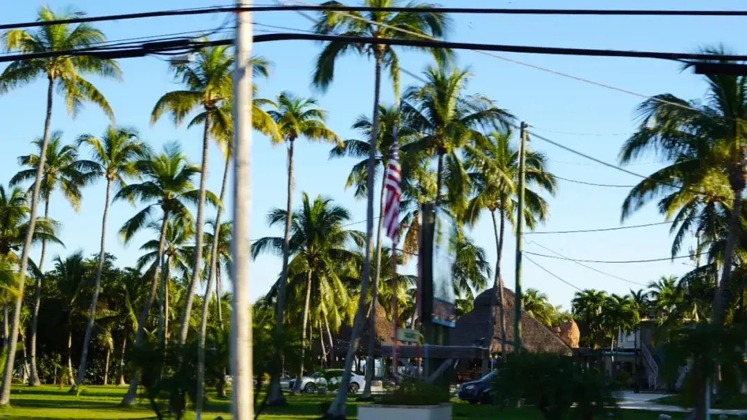 Key West / Orlando, Florida story photo 101