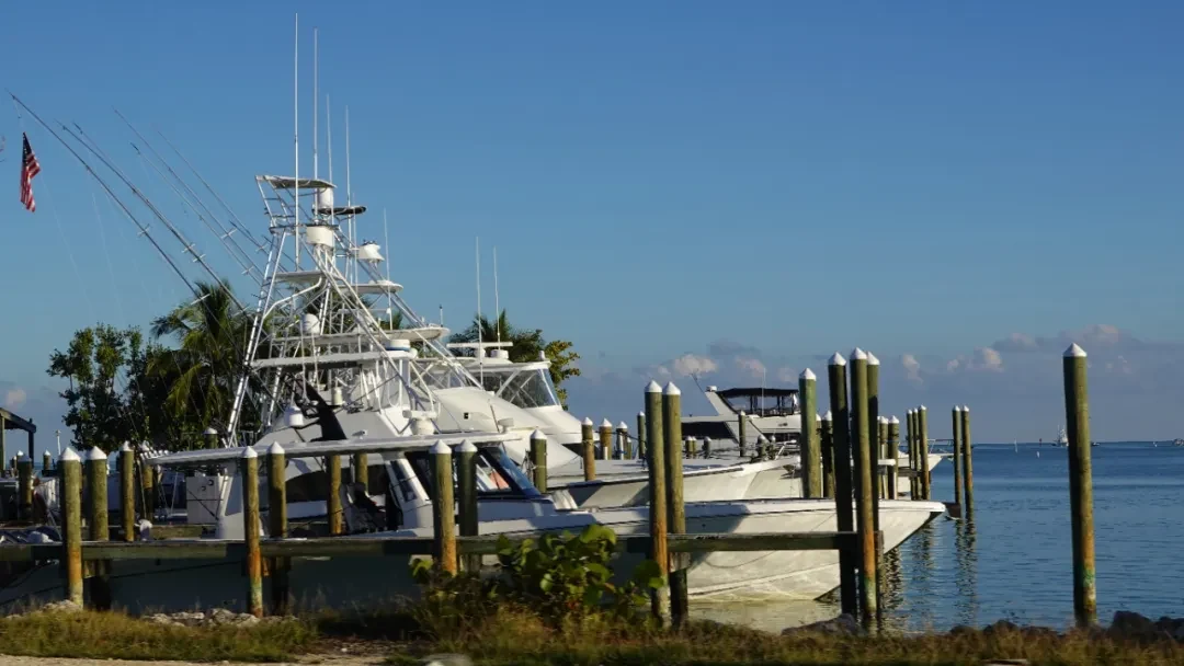 Key West / Orlando, Florida story photo 103