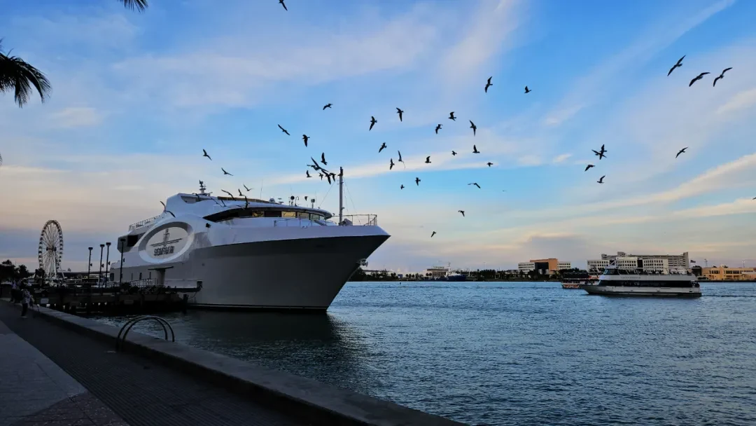 Key West / Orlando, Florida story photo 122
