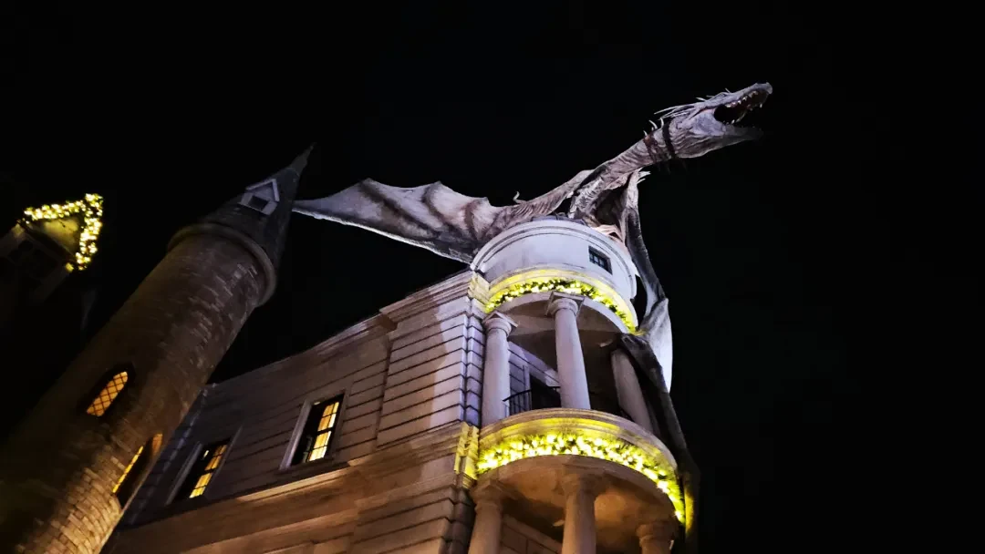 Key West / Orlando, Florida story photo 215