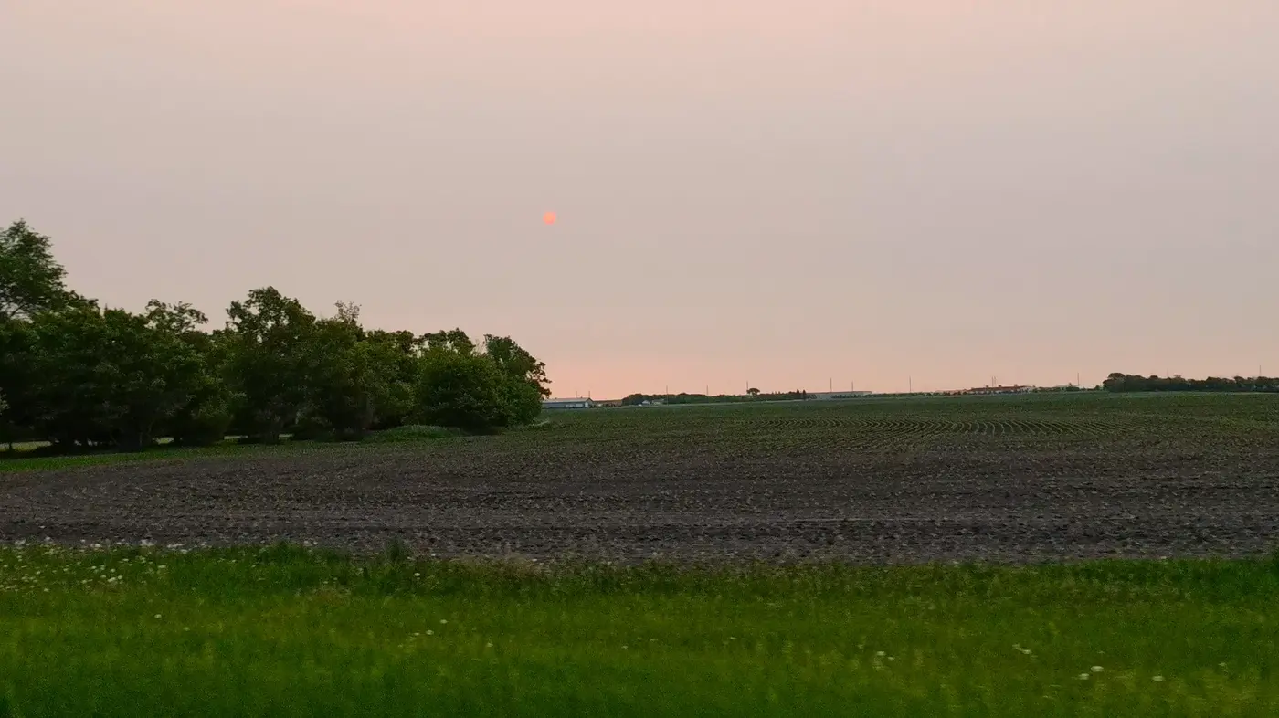 Quiet field behind the campground