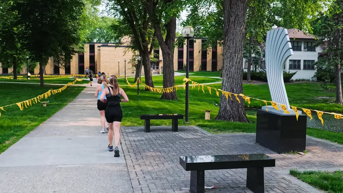 Flag-lined campus walkway