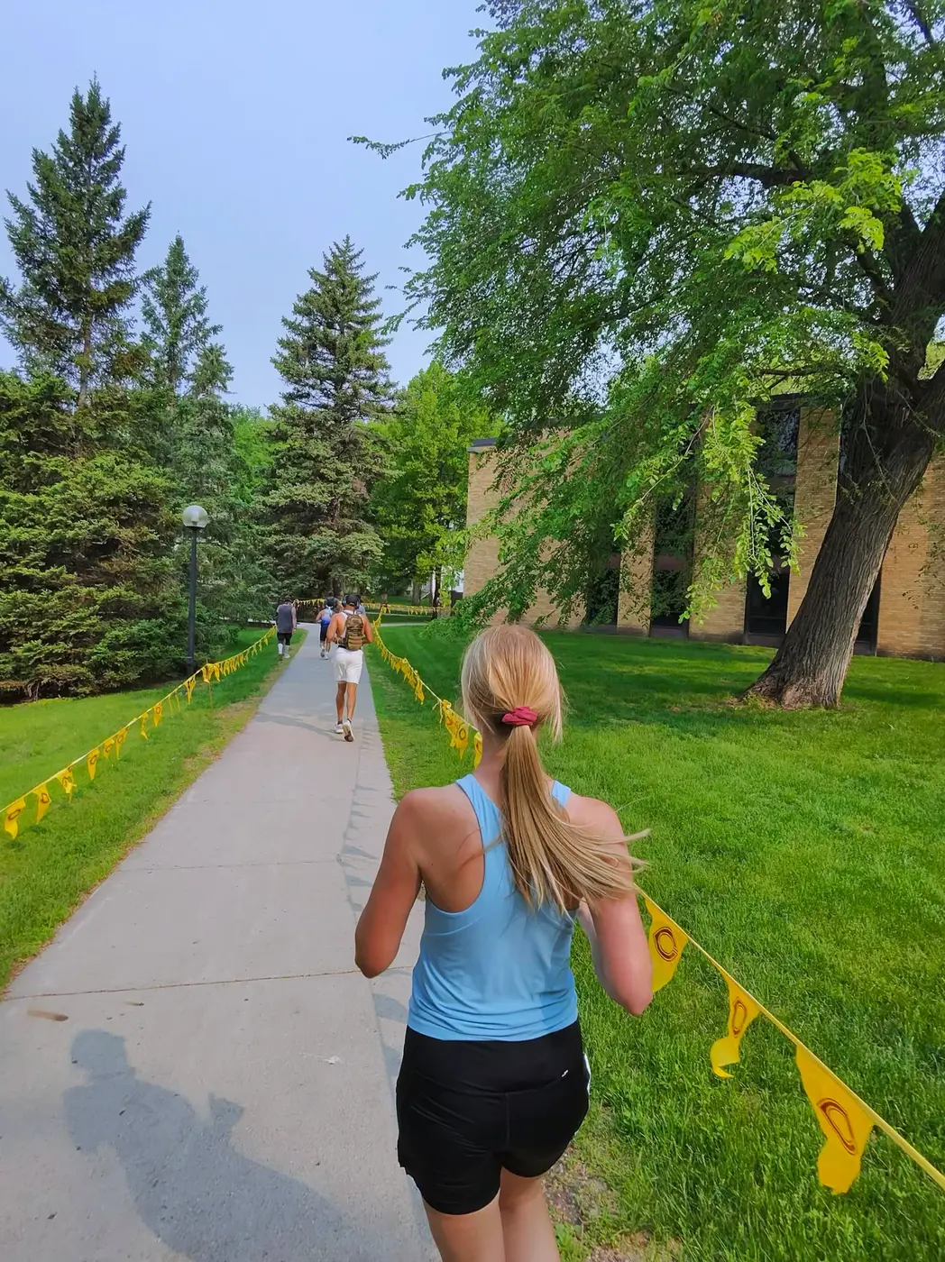 Shaded campus path toward the fountain