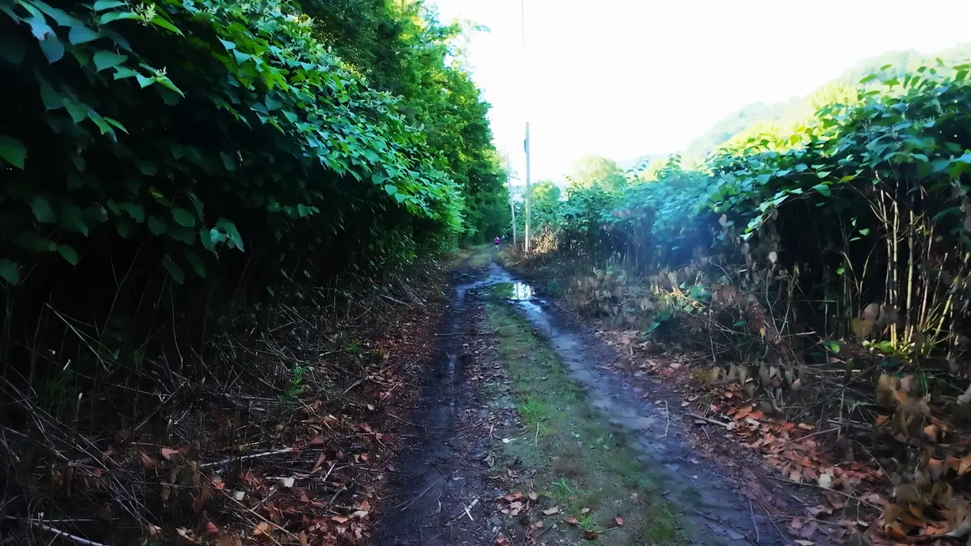 Run50 #第1州｜肯塔基#2：哈特菲尔德–麦考伊马拉松｜阿巴拉契亚山谷的脚步声与枪声 图片 60