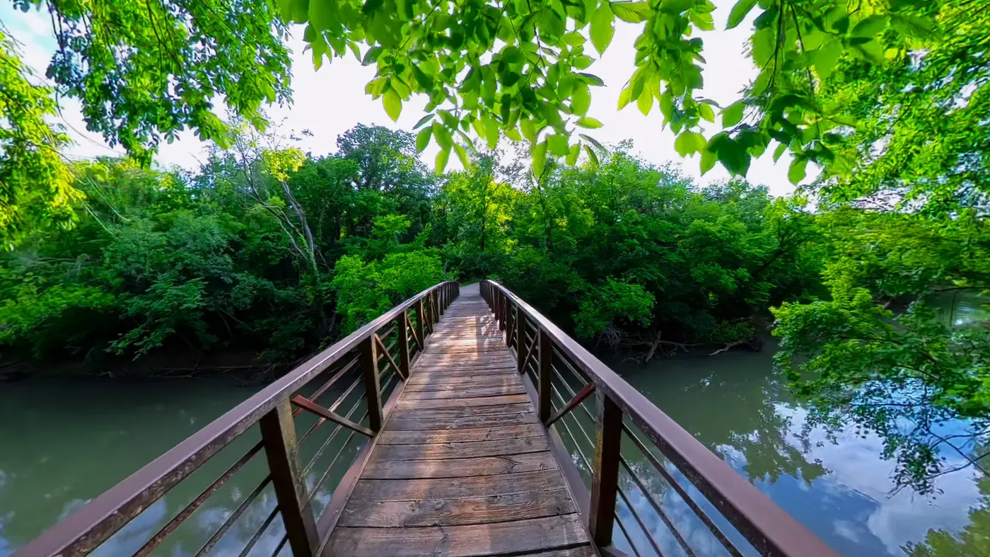 Wooden bridge over the green creek