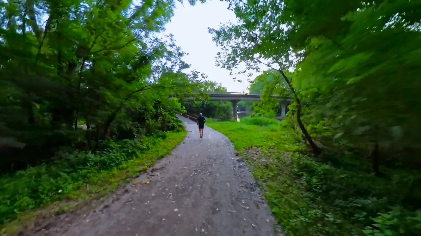 Gravel path under thick green trees
