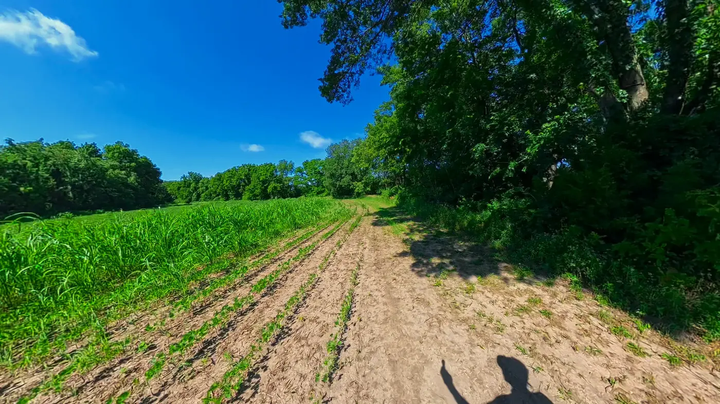 Pouring water under the Kansas sun