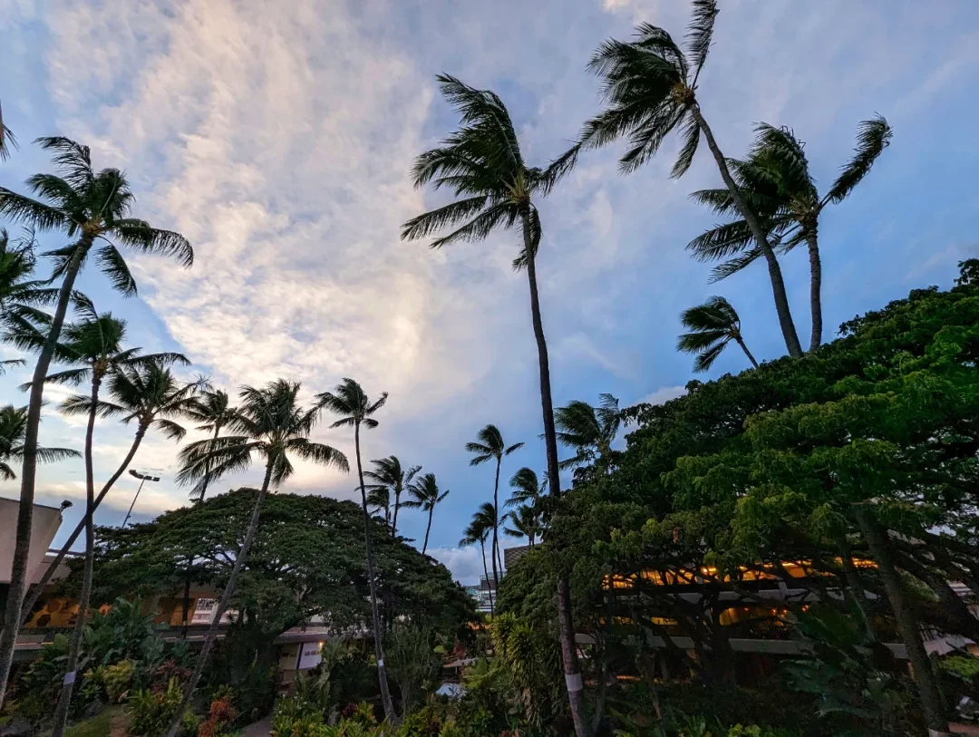 Honolulu travel photo 004