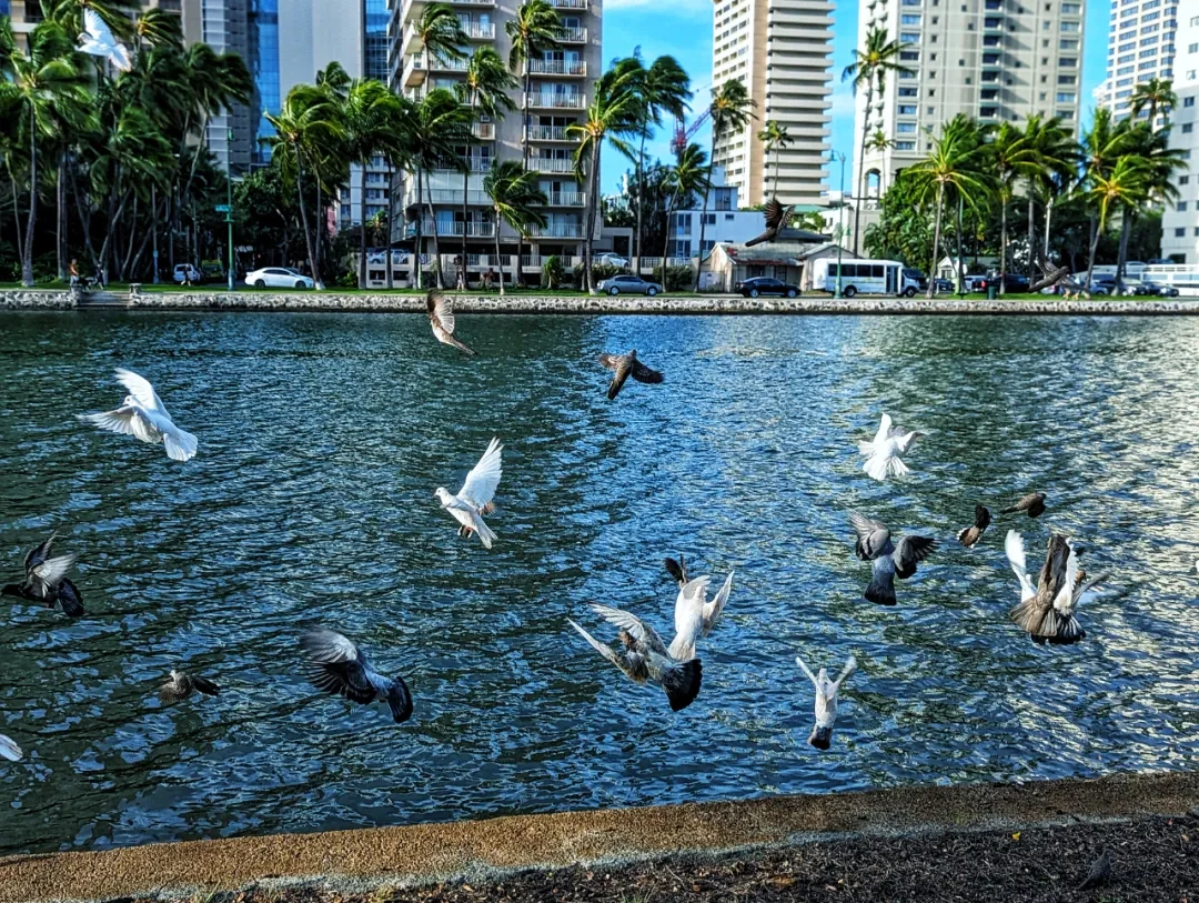 Honolulu travel photo 026