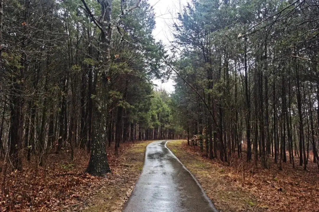 Broad Run Park by Arsenan