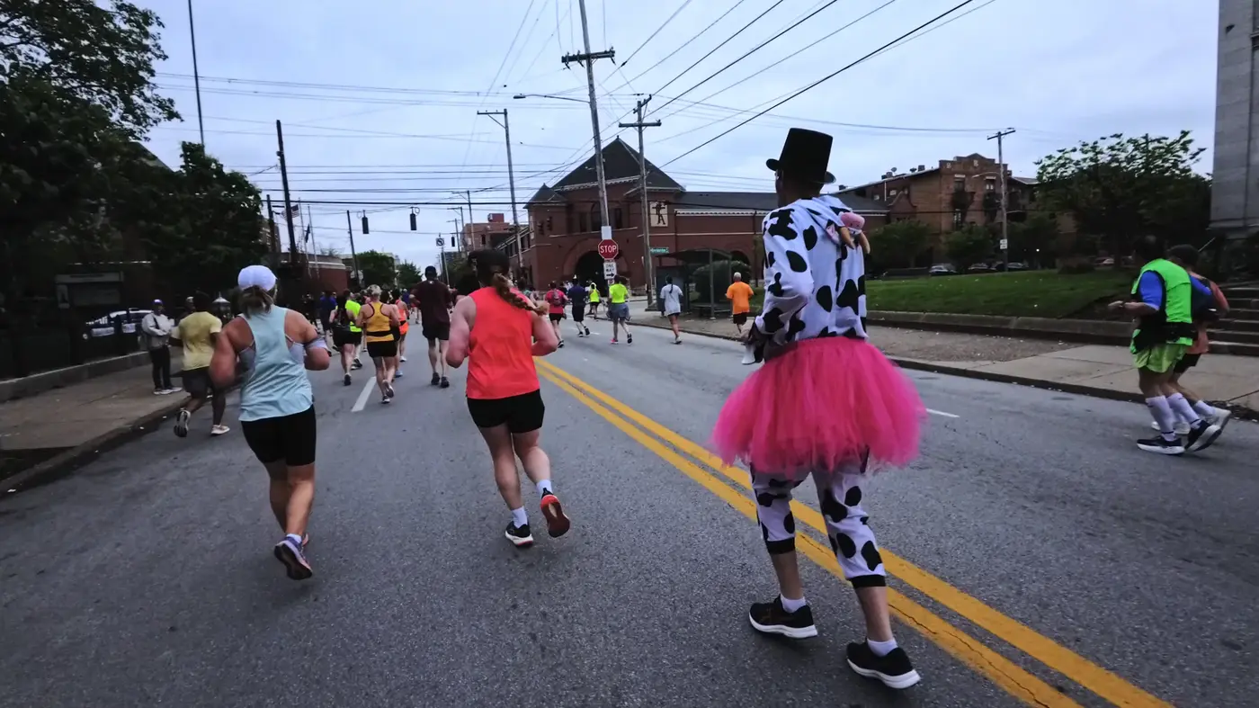 Cow-print tutu on the neighborhood stretch