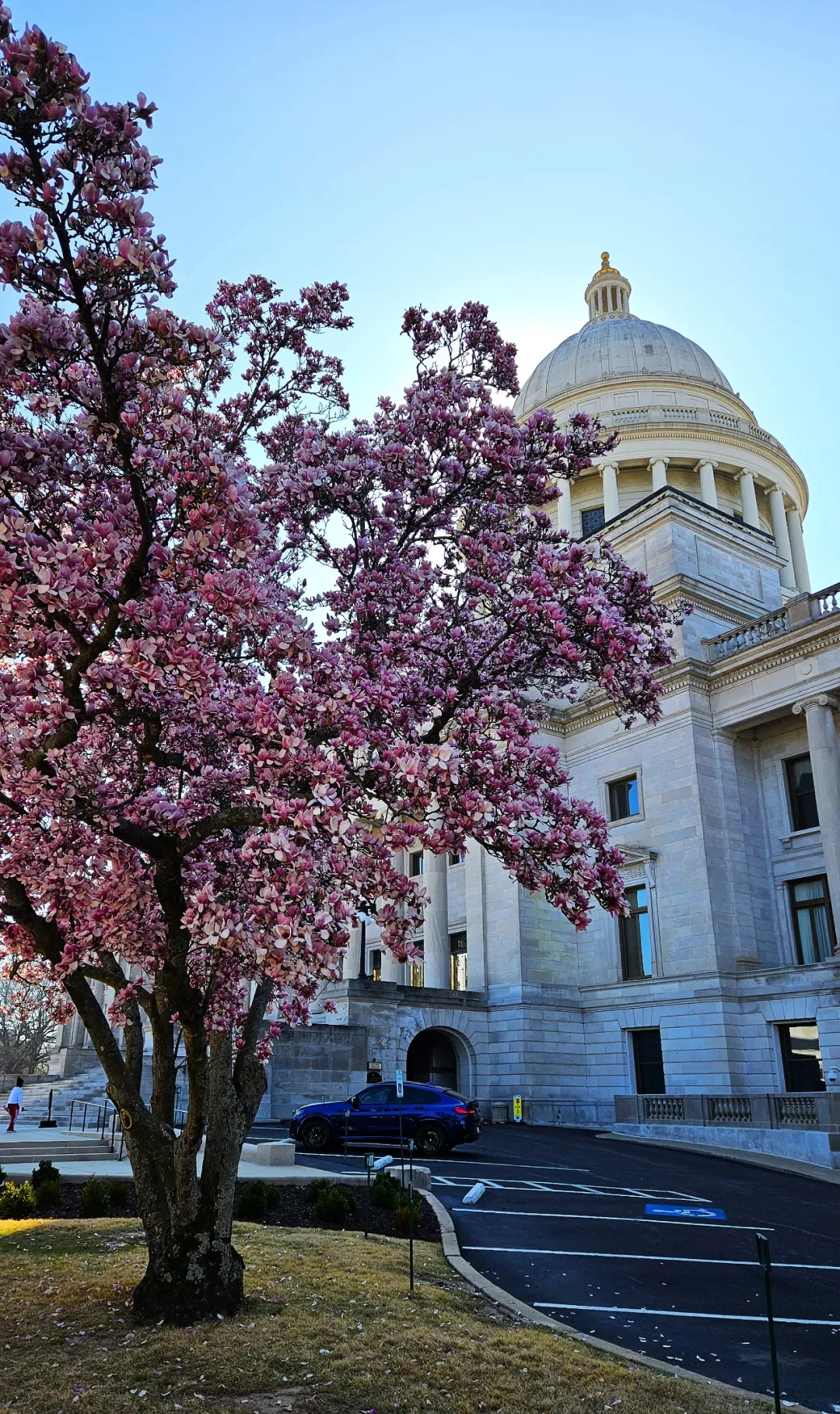 Arkansas State Capitol @Arsenan