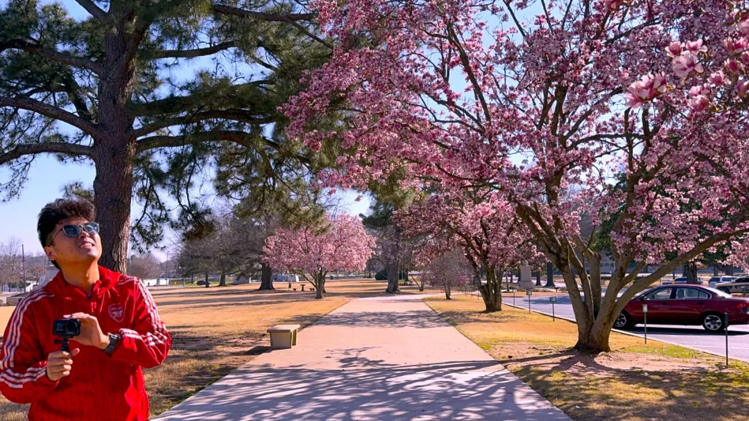 Spring in bloom @Siqi