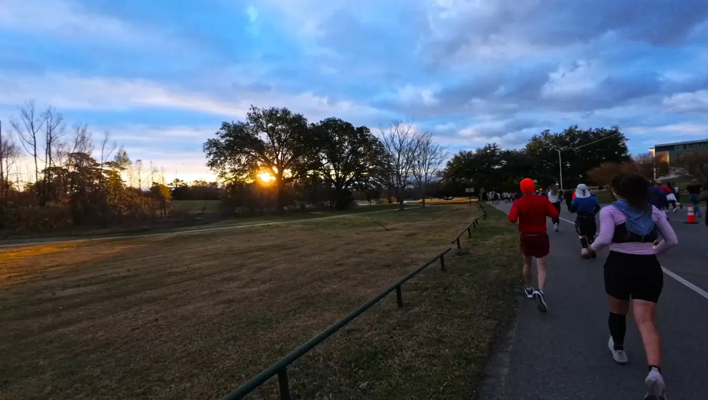 Low sun across a grassy park stretch