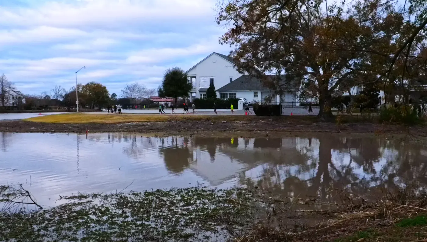 Calm water and Baton Rouge houses
