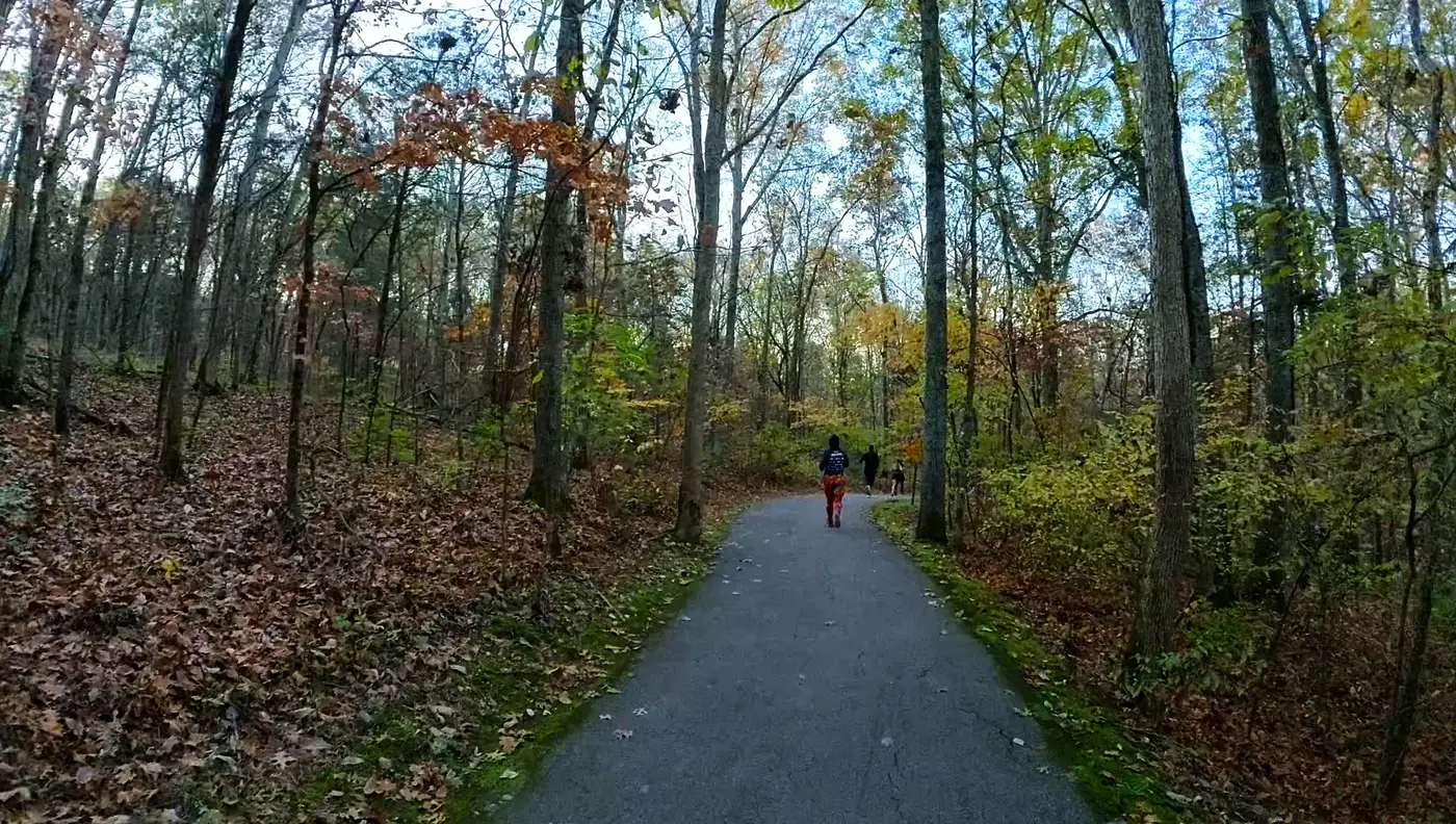 Late-fall woods along Floyds Fork Trail