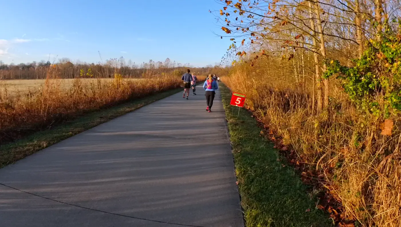 long straight stretch beside reeds and