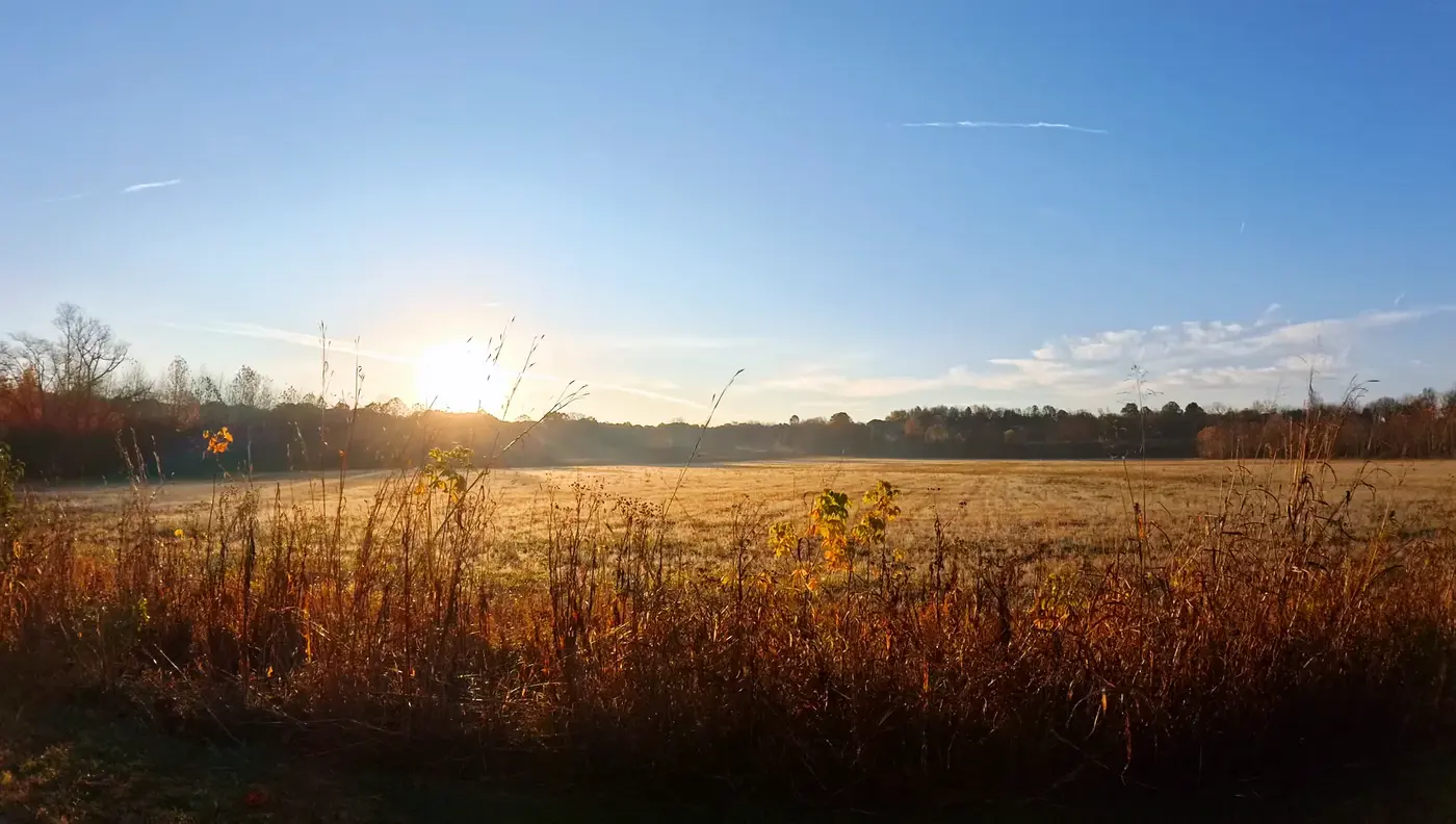 Fields and water at Floyds Fork