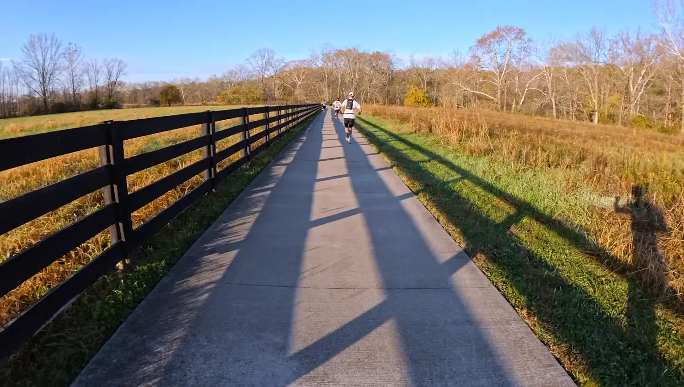 long open path beside the wooden fence