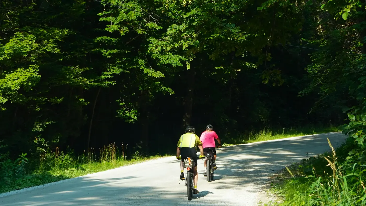 Cyclists climbing a green Vermont road