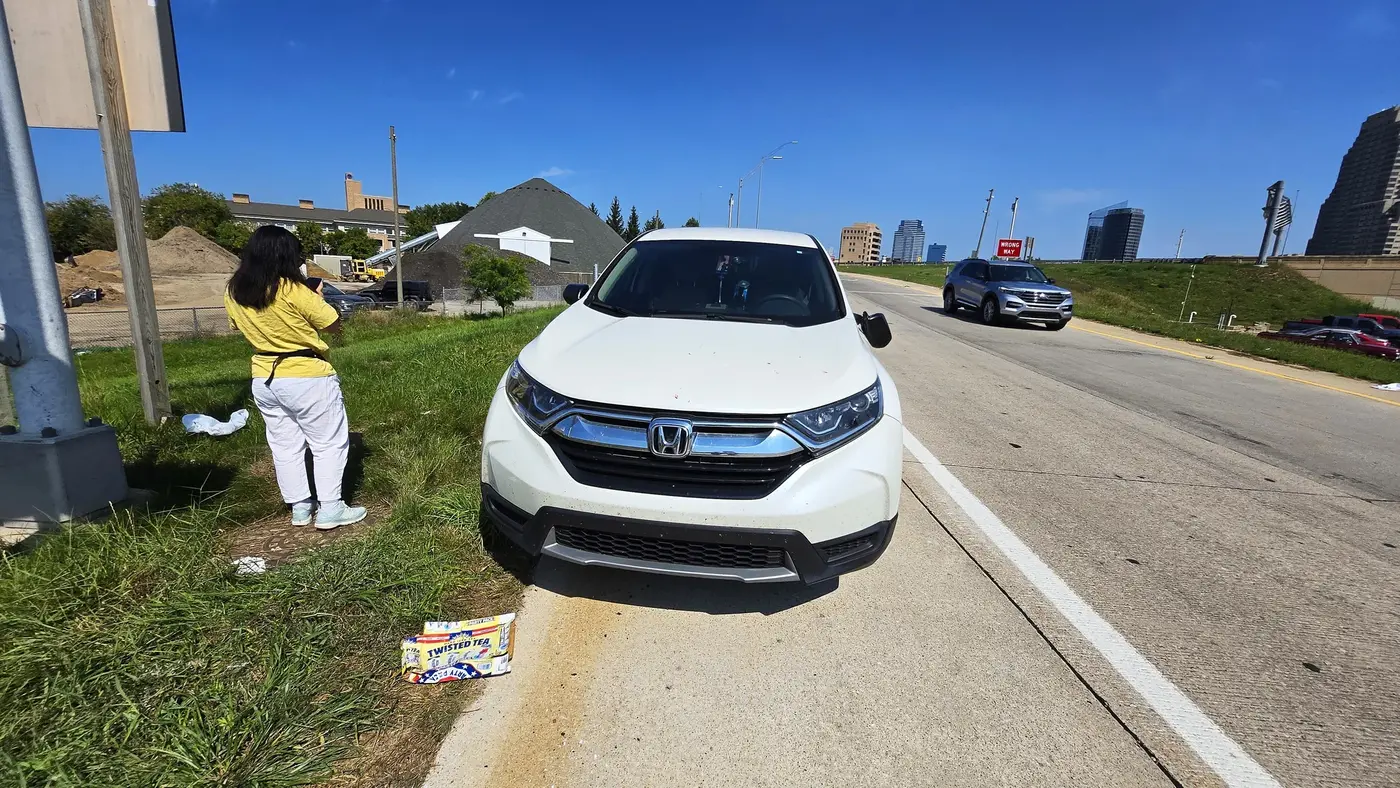 Roadside car check