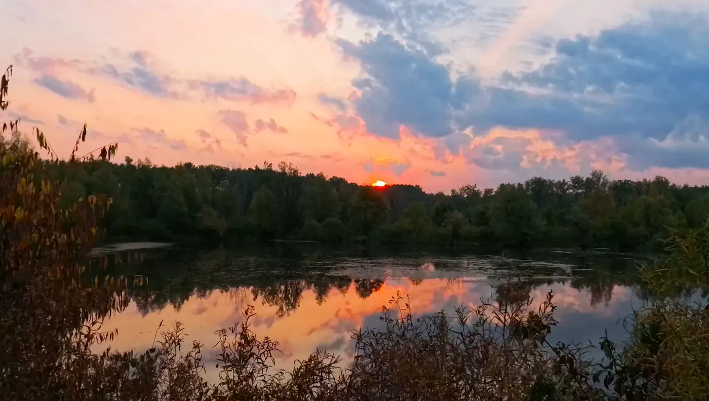 Riverbank sunrise