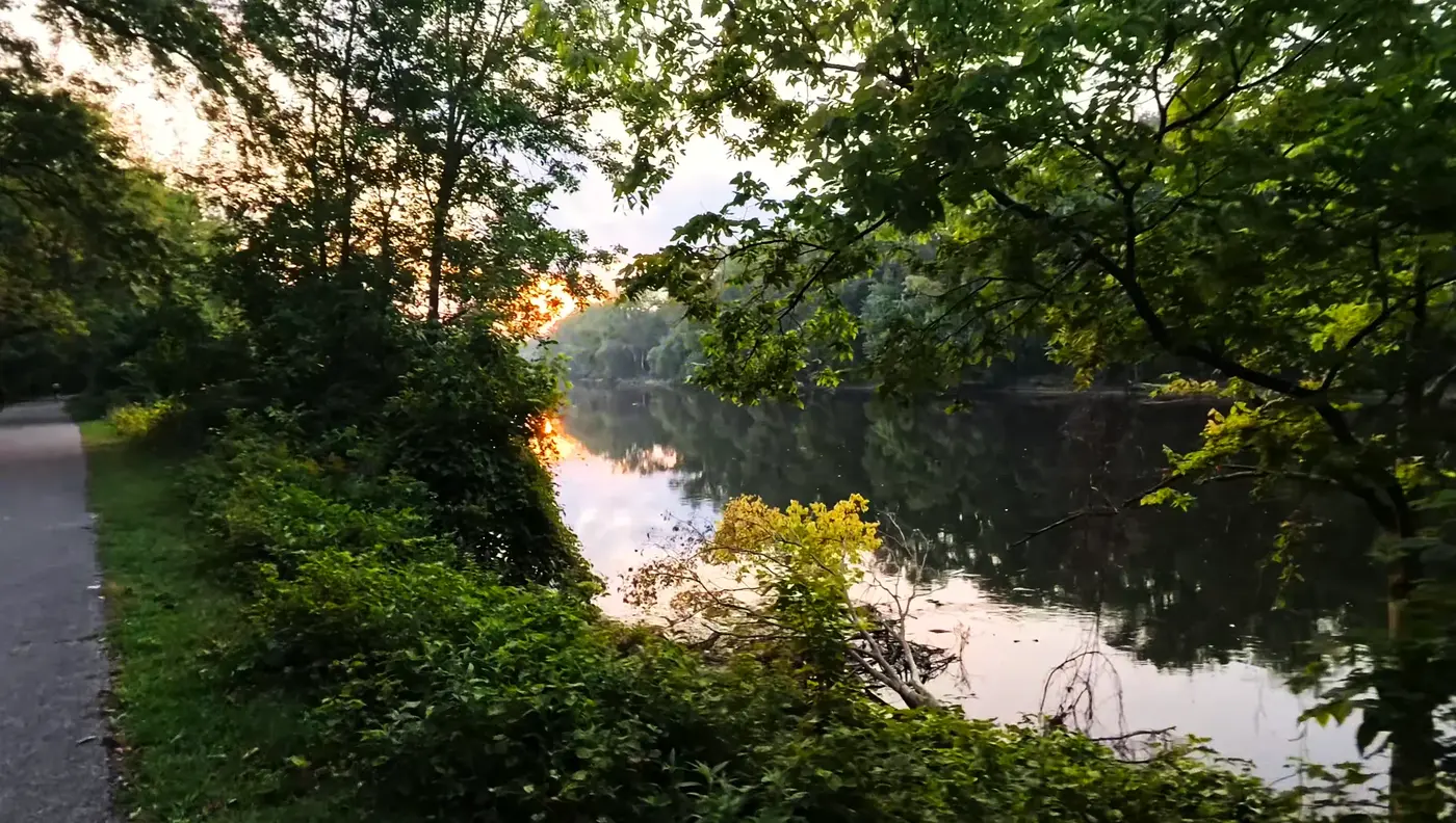 River through trees