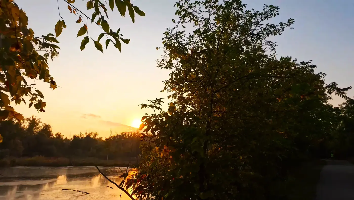 Shaded river
