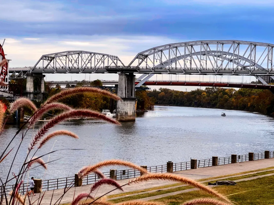 Tennessee Marathon image 37