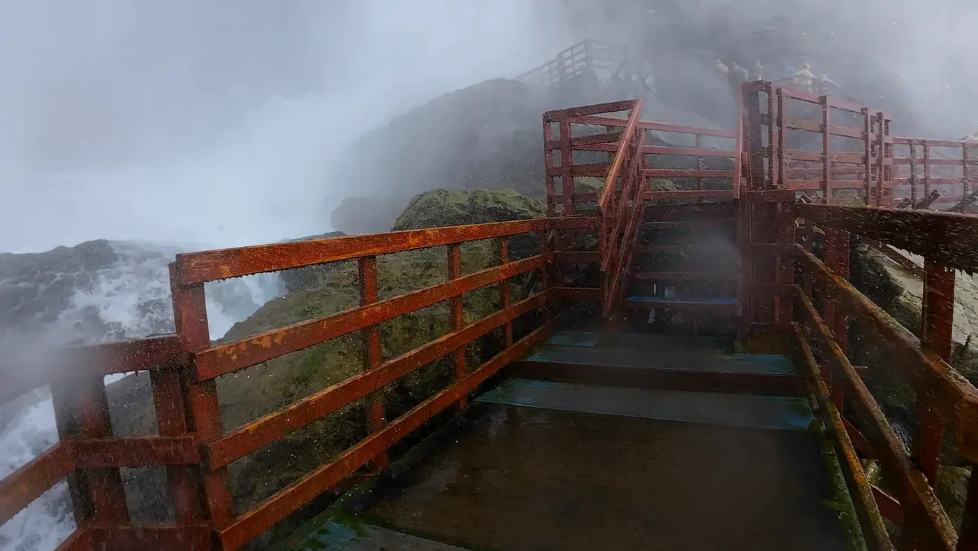 wooden boardwalk disappearing into heavy